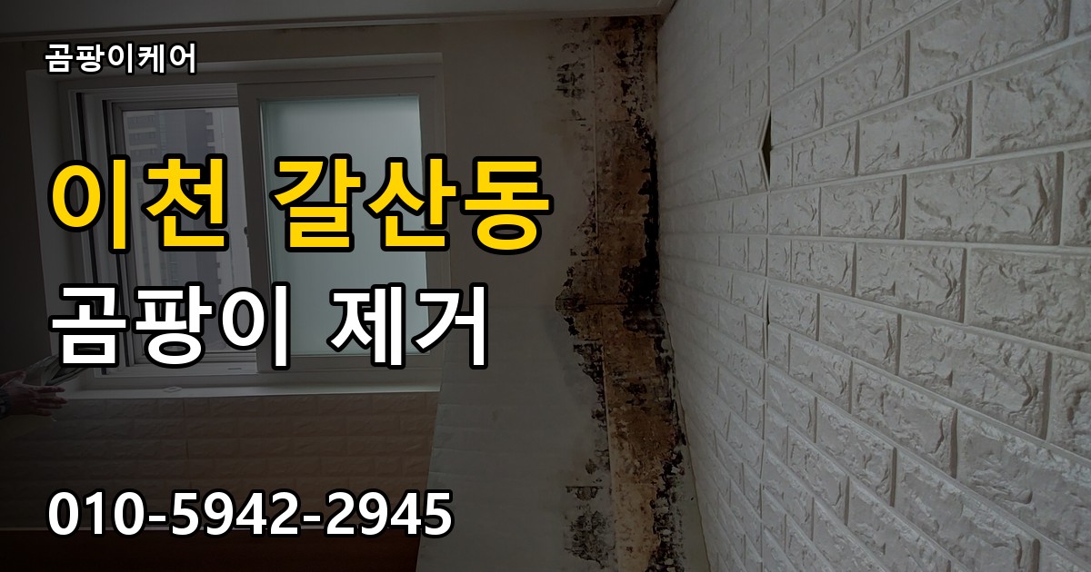 이천 갈산동 곰팡이 제거 - 곰팡이케어 실제 시공 현장