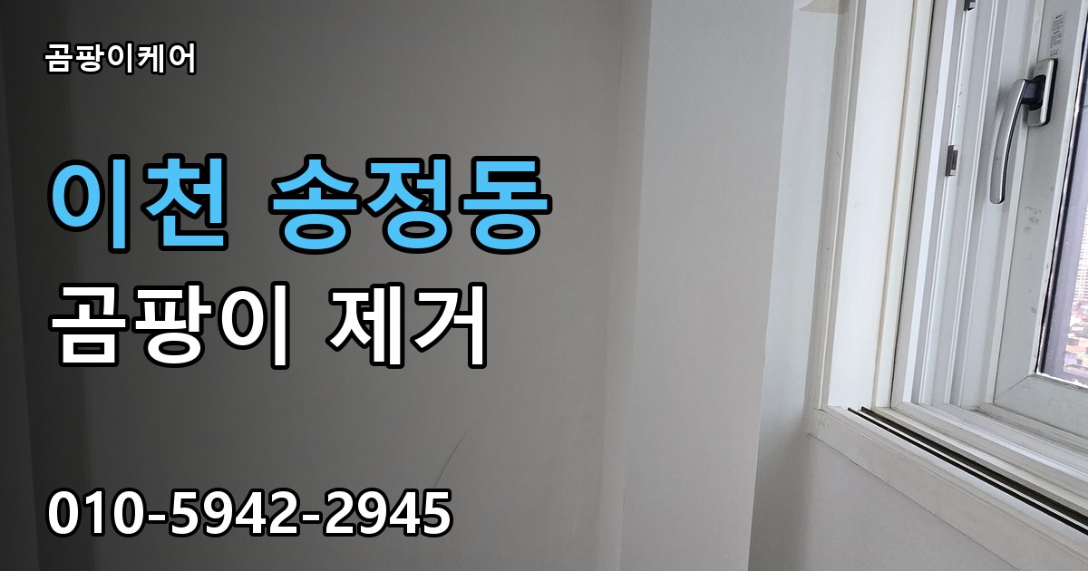 이천 송정동 곰팡이 제거 - 곰팡이케어 실제 시공 현장