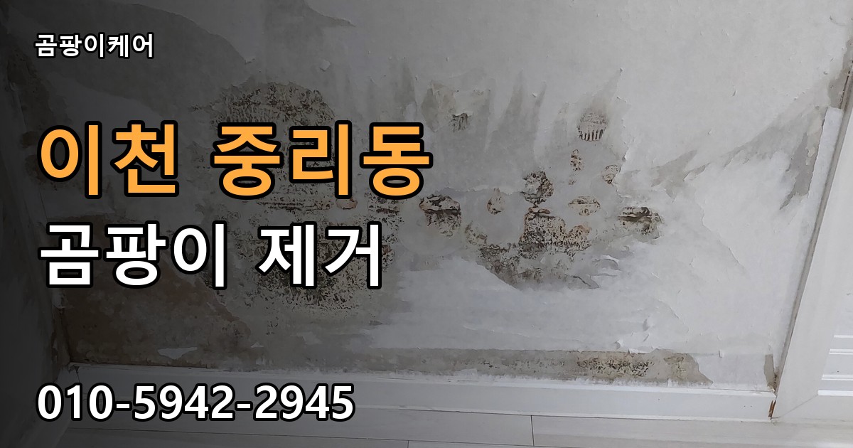이천 중리동 곰팡이 제거 - 곰팡이케어 실제 시공 현장