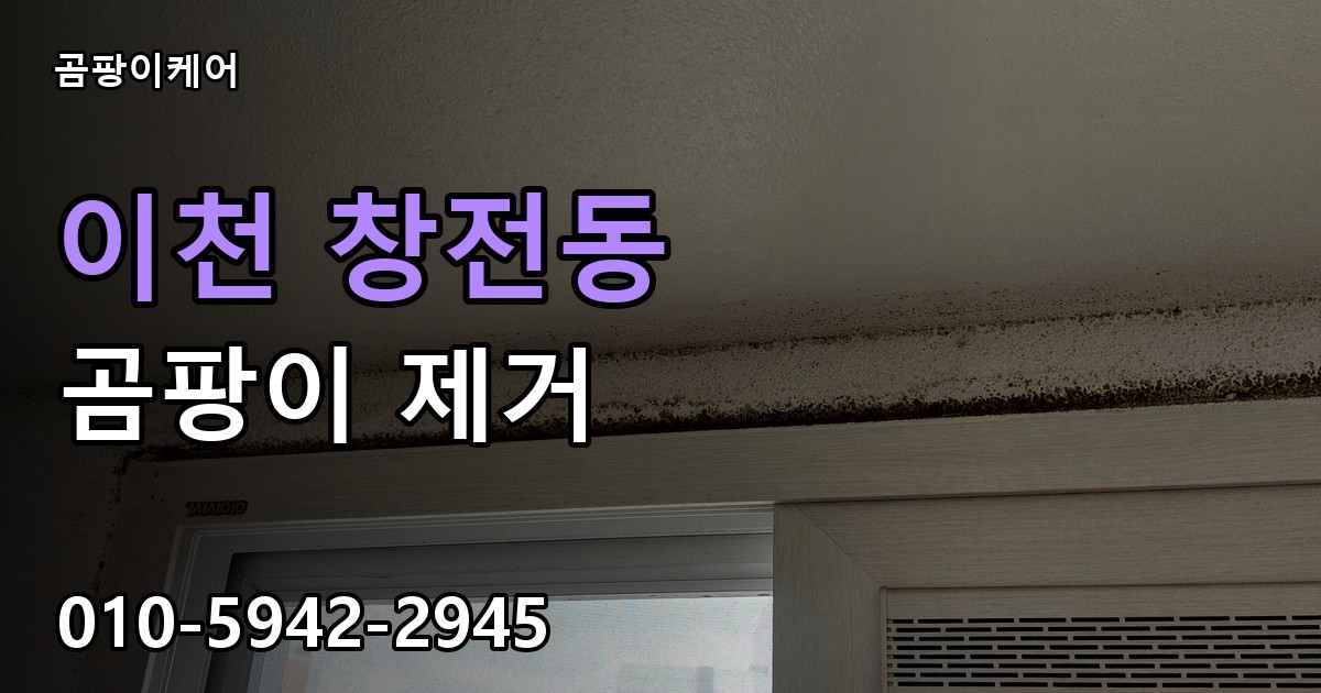 이천 창전동 곰팡이 제거 - 곰팡이케어 실제 시공 현장