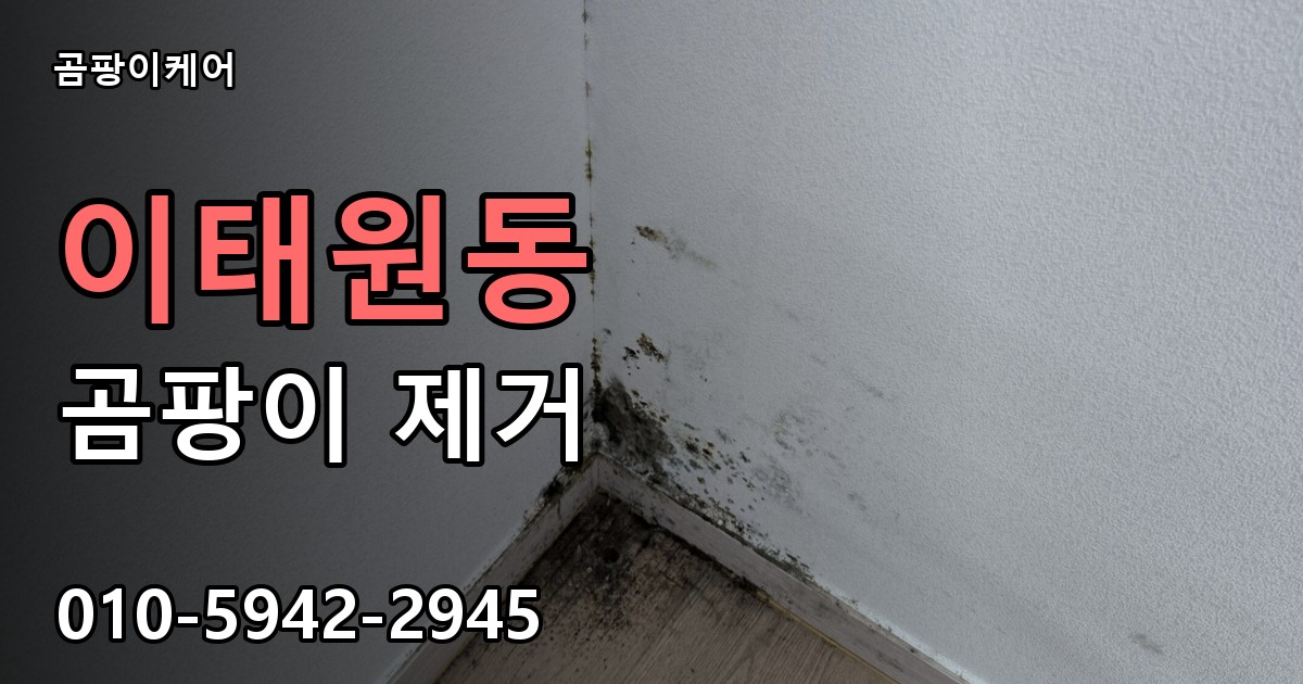 이태원동 곰팡이 제거 - 곰팡이케어 실제 시공 현장
