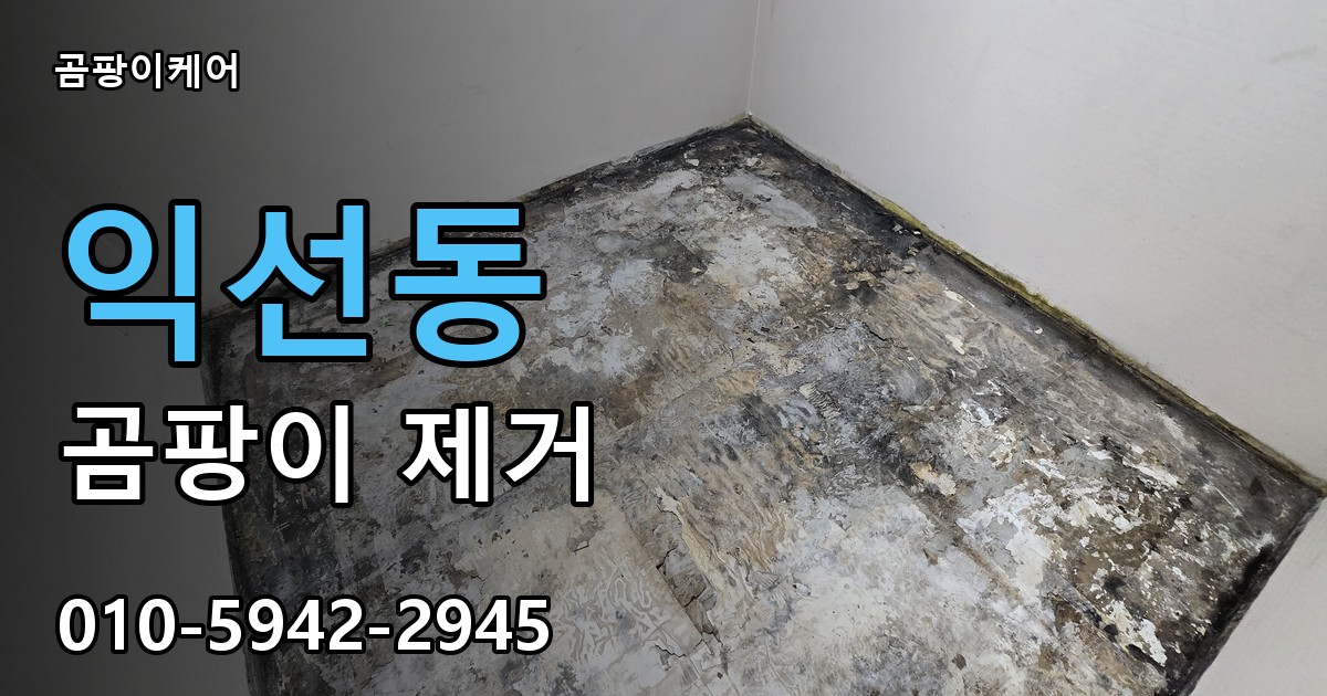 익선동 곰팡이 제거 - 곰팡이케어 실제 시공 현장