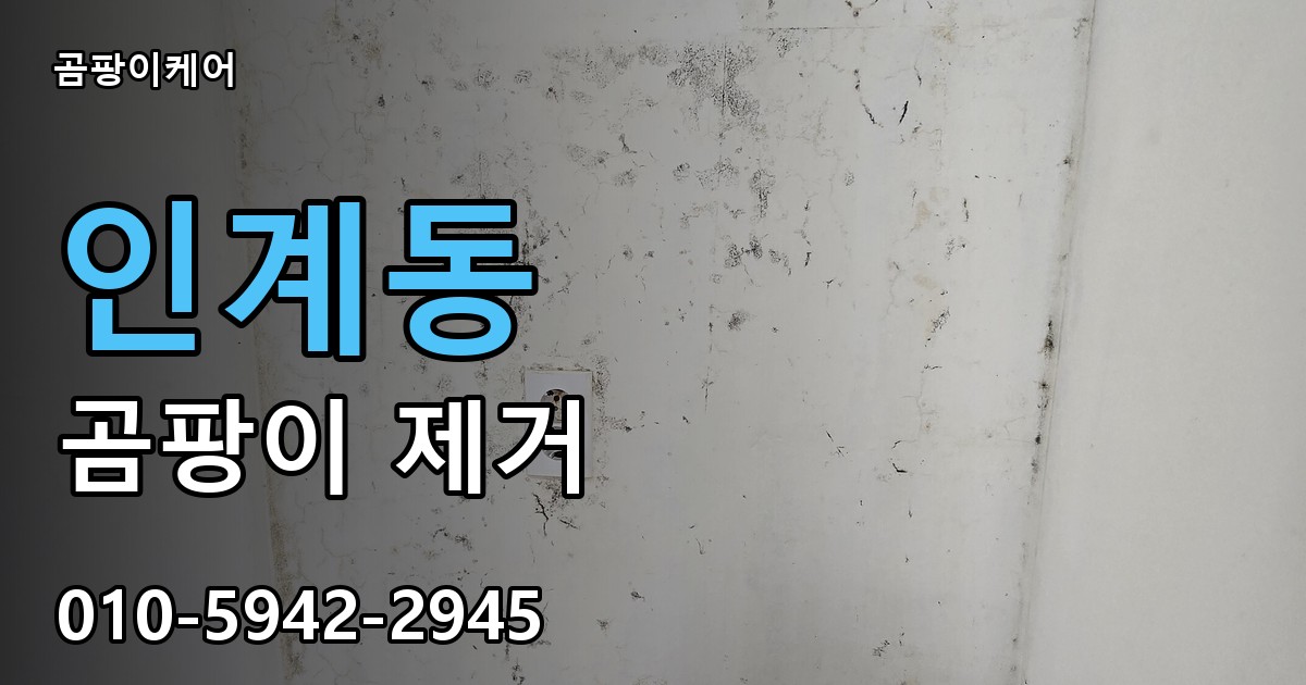 인계동 곰팡이 제거 - 곰팡이케어 실제 시공 현장