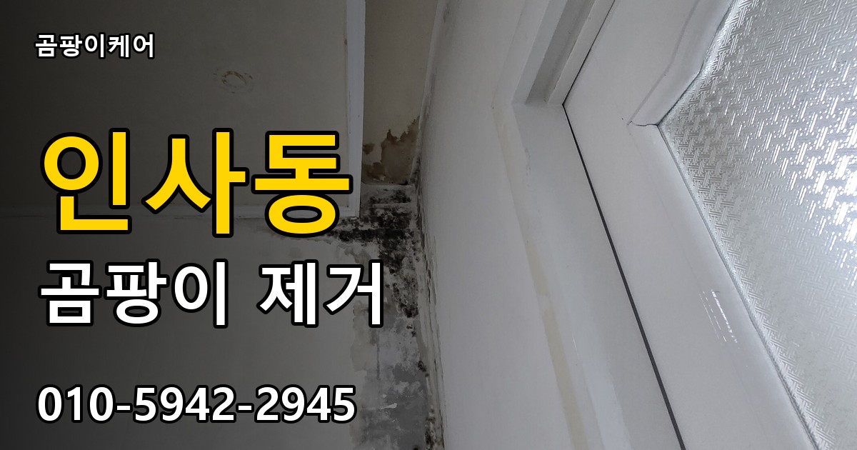 인사동 곰팡이 제거 - 곰팡이케어 실제 시공 현장
