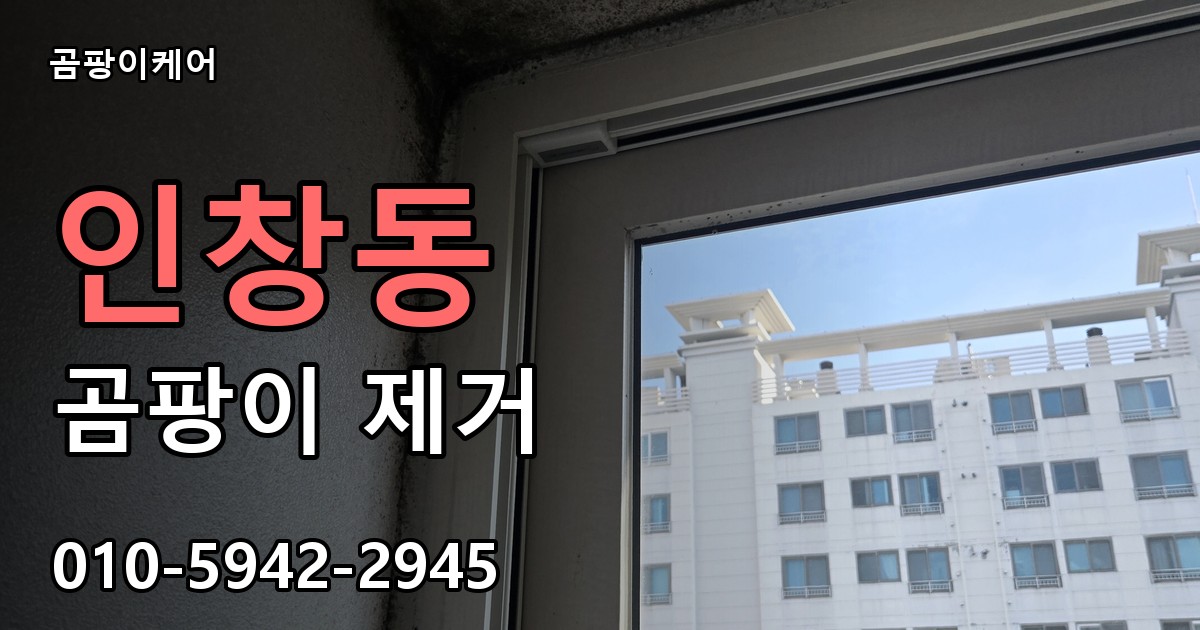 인창동 곰팡이 제거 - 곰팡이케어 실제 시공 현장