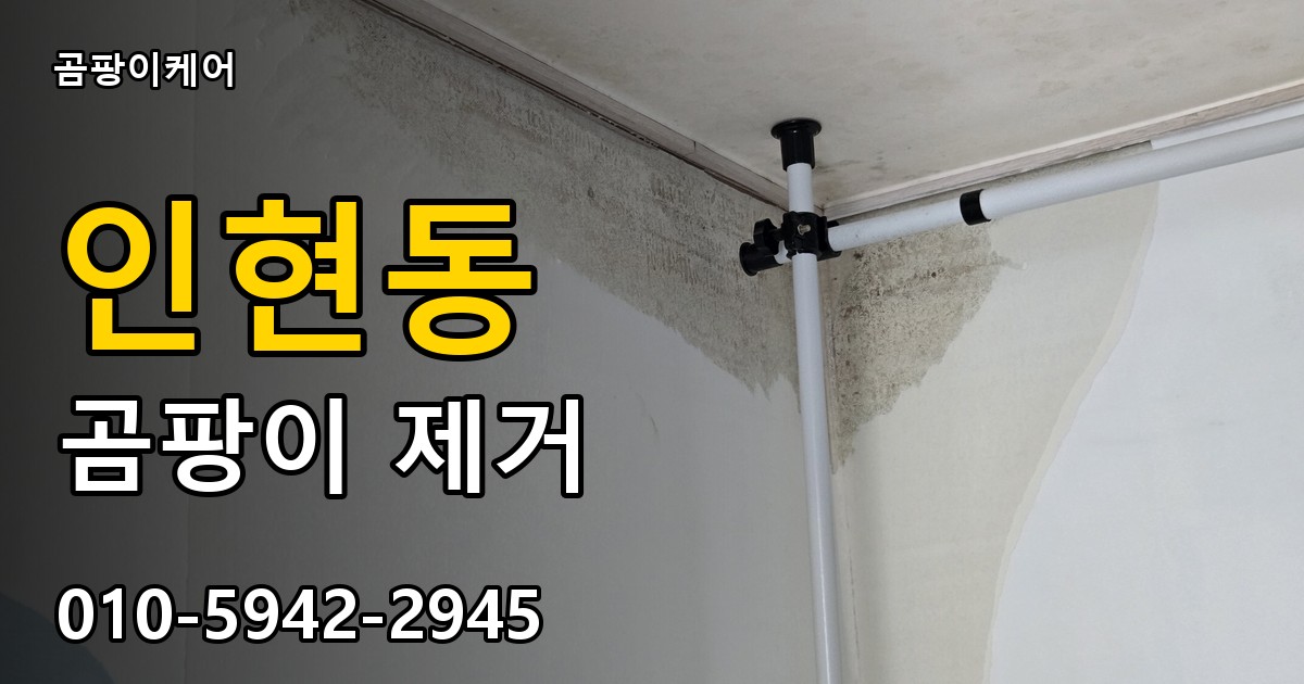 인현동 곰팡이 제거 - 곰팡이케어 실제 시공 현장