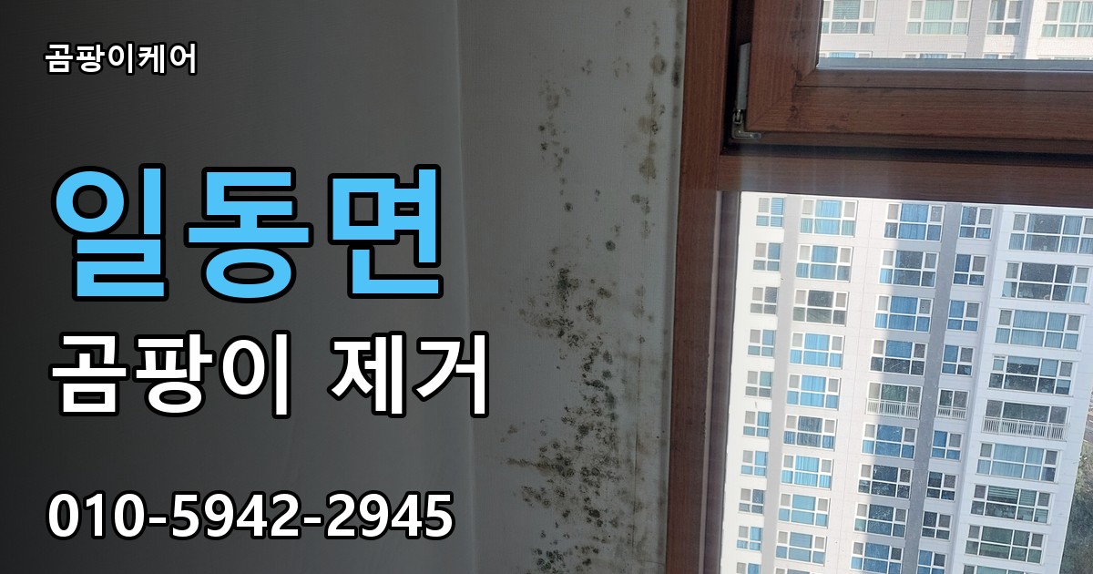 일동면 곰팡이 제거 - 곰팡이케어 실제 시공 현장