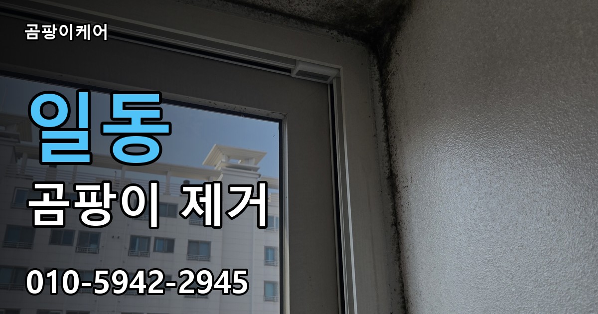 일동 곰팡이 제거 - 곰팡이케어 실제 시공 현장