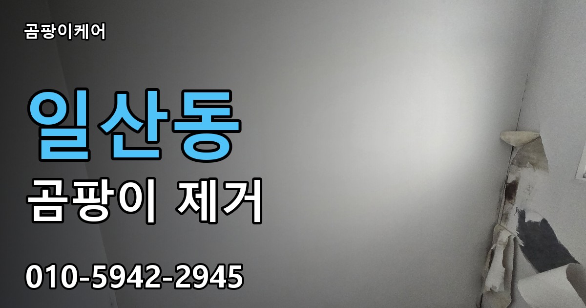 일산동 곰팡이 제거 - 곰팡이케어 실제 시공 현장