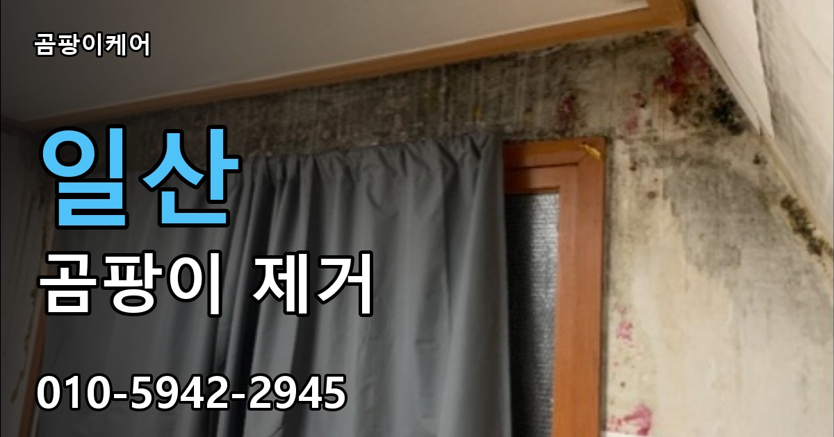 일산 곰팡이 제거 - 곰팡이케어 실제 시공 현장