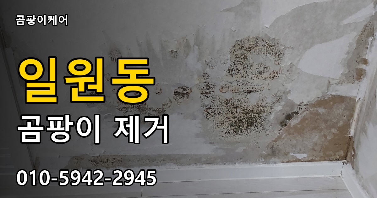 일원동 곰팡이 제거 - 곰팡이케어 실제 시공 현장