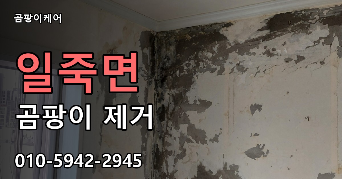 일죽면 곰팡이 제거 - 곰팡이케어 실제 시공 현장