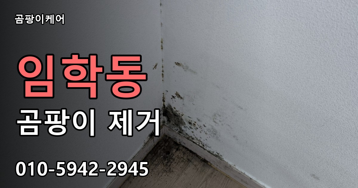 임학동 곰팡이 제거 - 곰팡이케어 실제 시공 현장