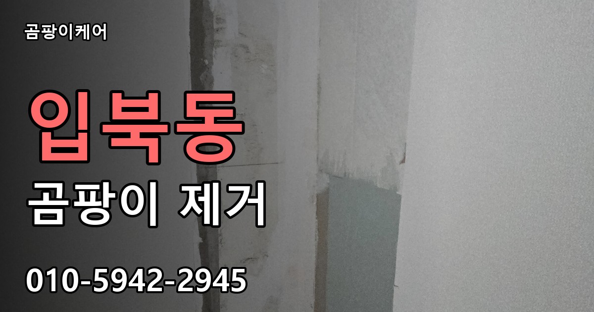 입북동 곰팡이 제거 - 곰팡이케어 실제 시공 현장