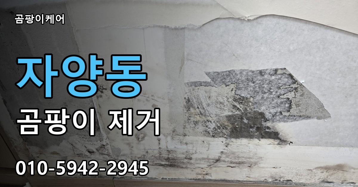 자양동 곰팡이 제거 - 곰팡이케어 실제 시공 현장