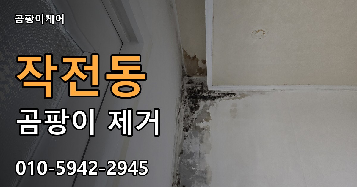 작전동 곰팡이 제거 - 곰팡이케어 실제 시공 현장