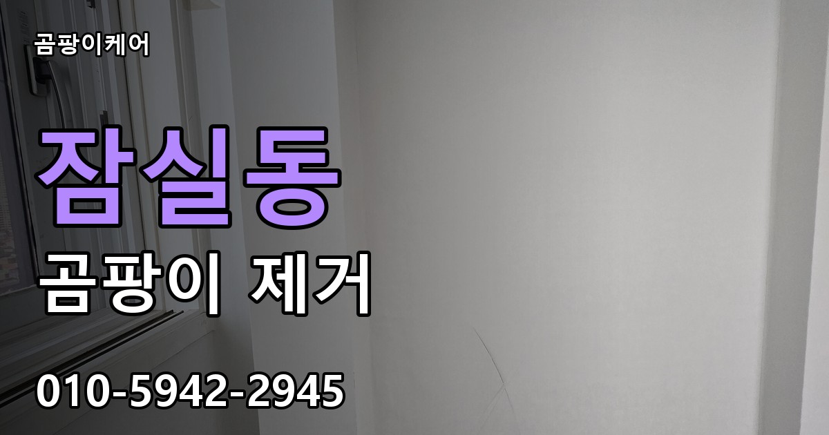 잠실동 곰팡이 제거 - 곰팡이케어 실제 시공 현장