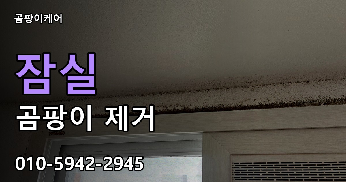 잠실 곰팡이 제거 - 곰팡이케어 실제 시공 현장