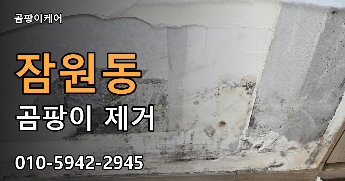 잠원동 곰팡이 제거 - 곰팡이케어 실제 시공 현장