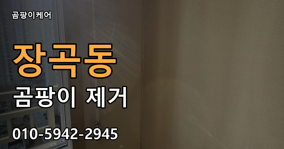 장곡동 곰팡이 제거 - 곰팡이케어 실제 시공 현장