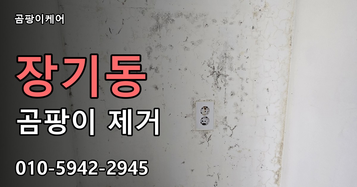 장기동 곰팡이 제거 - 곰팡이케어 실제 시공 현장