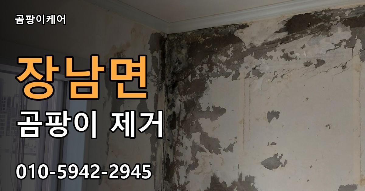 장남면 곰팡이 제거 - 곰팡이케어 실제 시공 현장