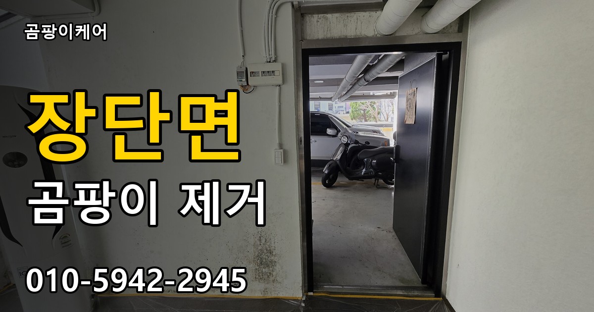장단면 곰팡이 제거 - 곰팡이케어 실제 시공 현장