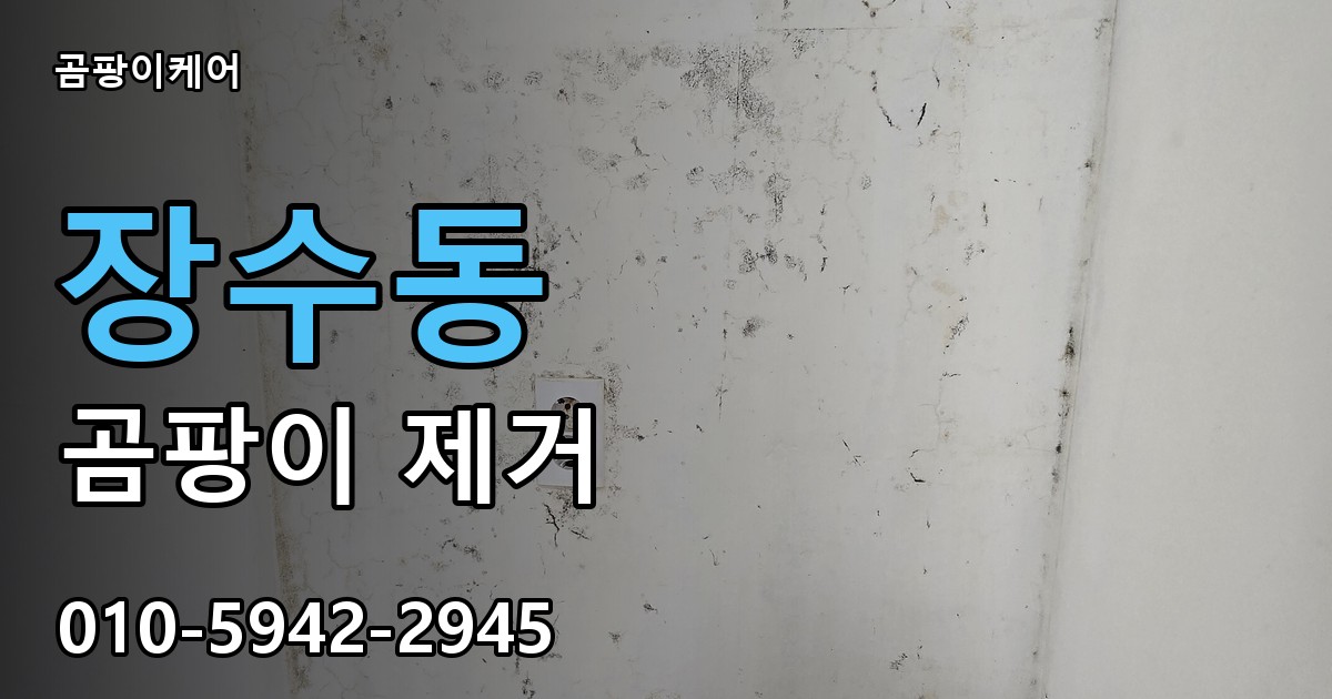 장수동 곰팡이 제거 - 곰팡이케어 실제 시공 현장