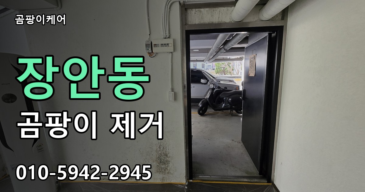 장안동 곰팡이 제거 - 곰팡이케어 실제 시공 현장