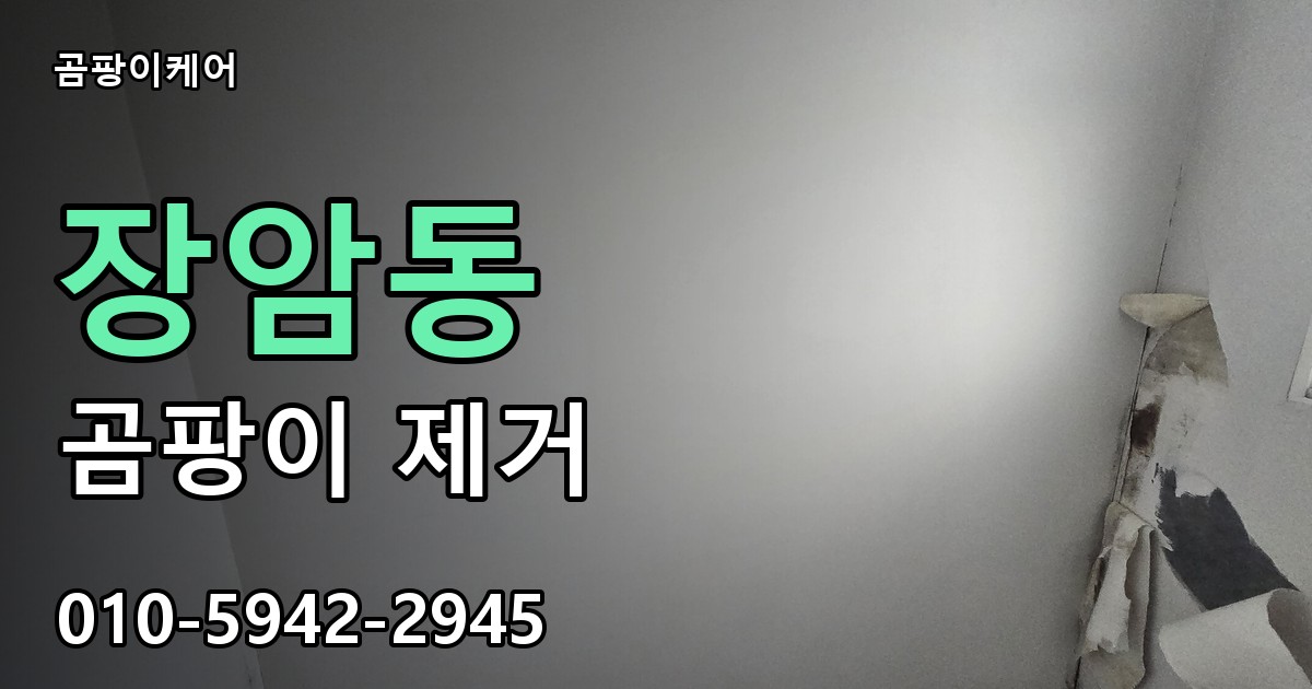 장암동 곰팡이 제거 - 곰팡이케어 실제 시공 현장