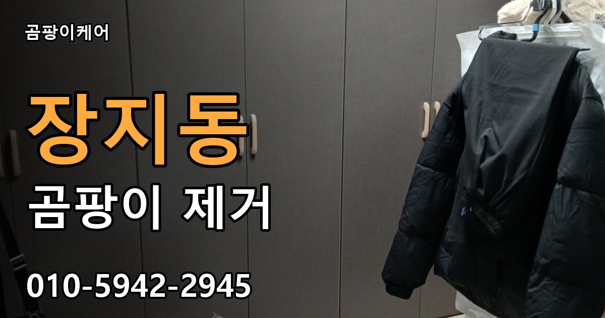 장지동 곰팡이 제거 - 곰팡이케어 실제 시공 현장
