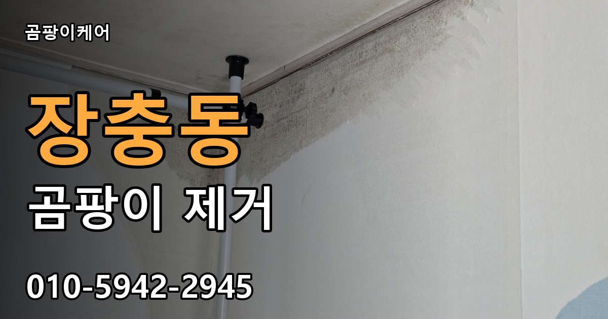 장충동 곰팡이 제거 - 곰팡이케어 실제 시공 현장