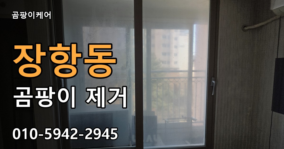장항동 곰팡이 제거 - 곰팡이케어 실제 시공 현장