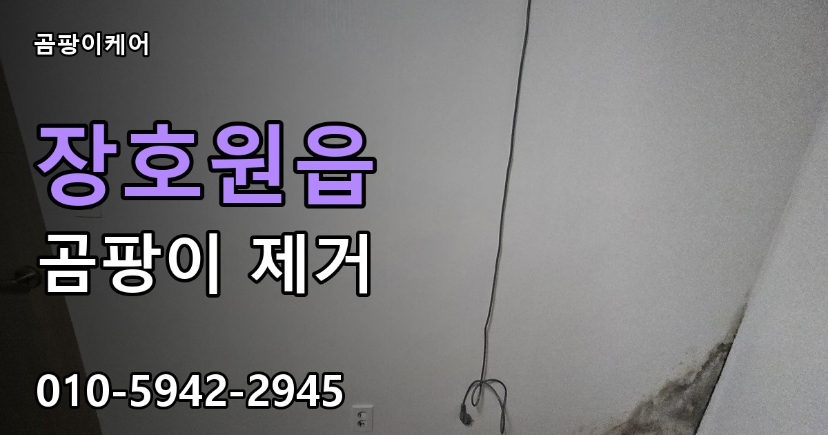 장호원읍 곰팡이 제거 - 곰팡이케어 실제 시공 현장