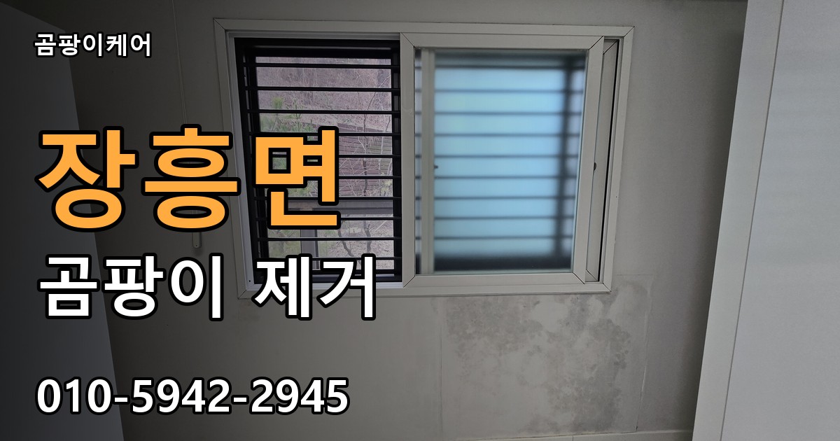 장흥면 곰팡이 제거 - 곰팡이케어 실제 시공 현장