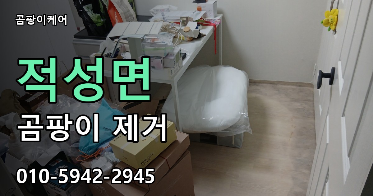 적성면 곰팡이 제거 - 곰팡이케어 실제 시공 현장
