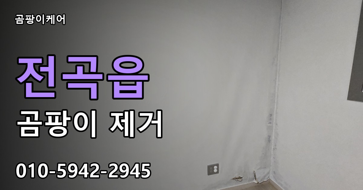 전곡읍 곰팡이 제거 - 곰팡이케어 실제 시공 현장