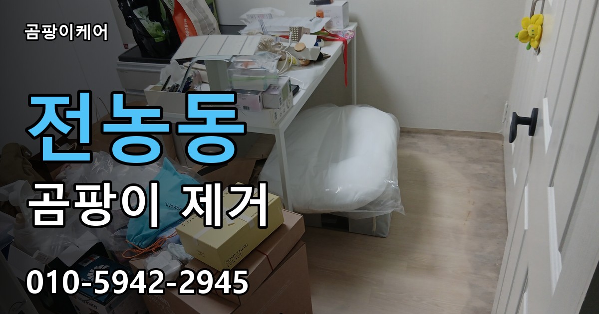 전농동 곰팡이 제거 - 곰팡이케어 실제 시공 현장