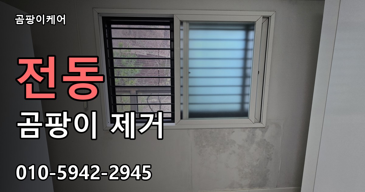 전동 곰팡이 제거 - 곰팡이케어 실제 시공 현장