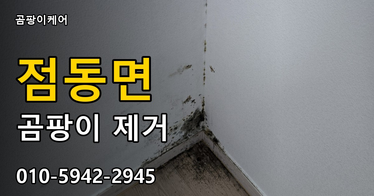 점동면 곰팡이 제거 - 곰팡이케어 실제 시공 현장