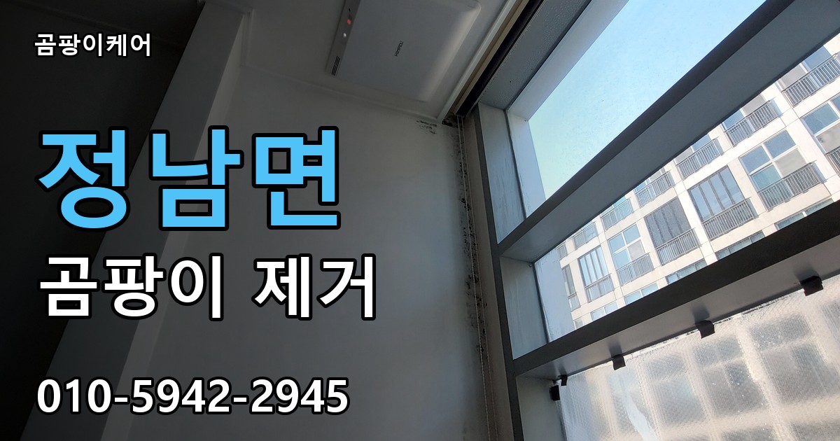정남면 곰팡이 제거 - 곰팡이케어 실제 시공 현장