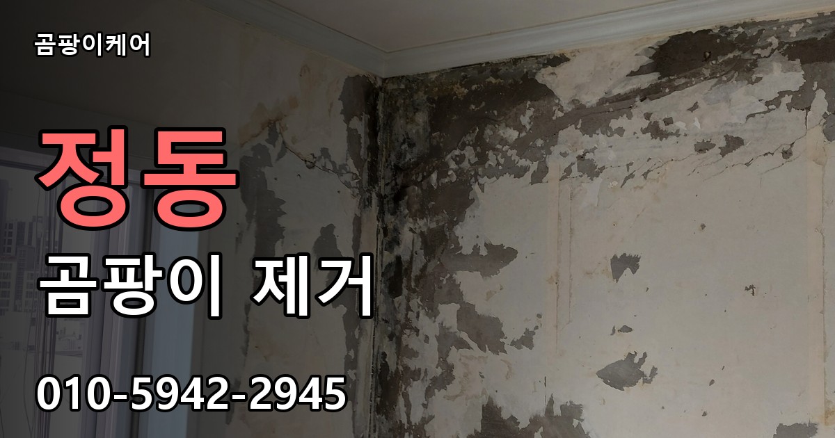 정동 곰팡이 제거 - 곰팡이케어 실제 시공 현장