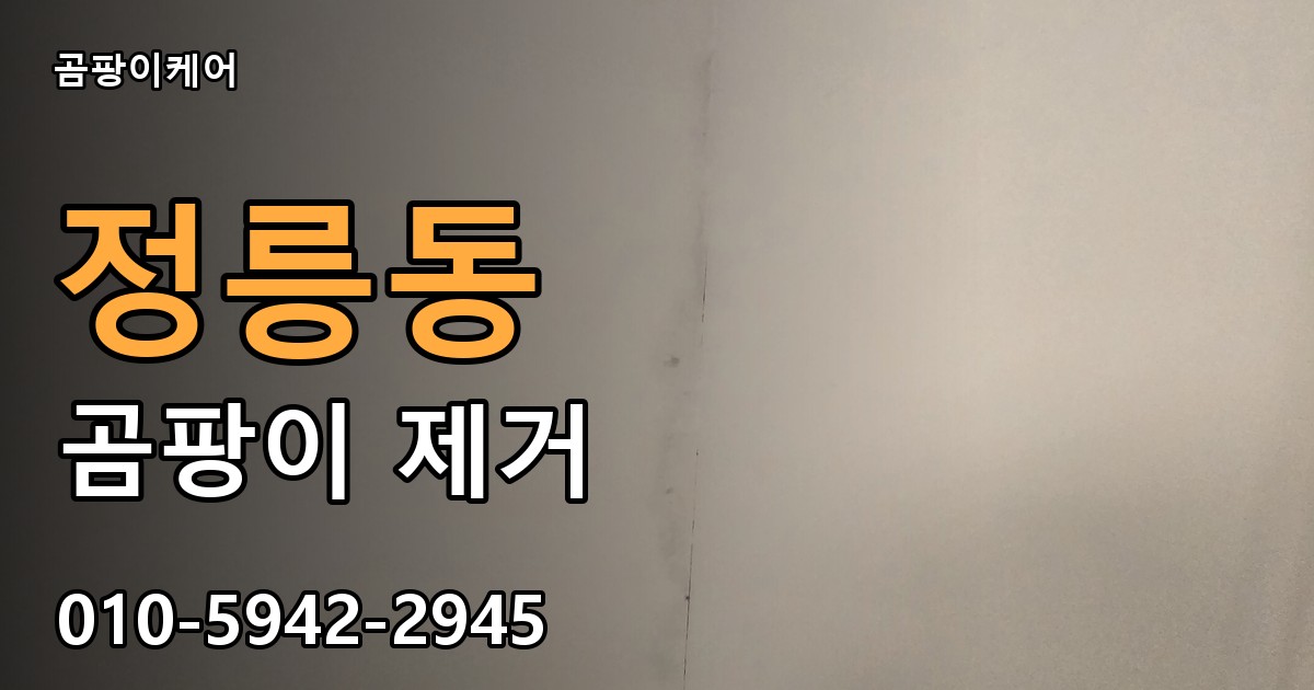 정릉동 곰팡이 제거 - 곰팡이케어 실제 시공 현장