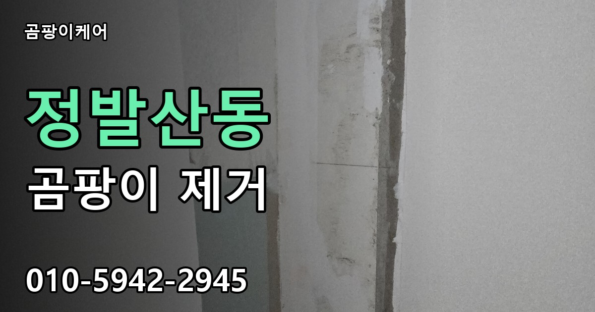 정발산동 곰팡이 제거 - 곰팡이케어 실제 시공 현장