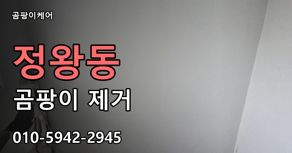 정왕동 곰팡이 제거 - 곰팡이케어 실제 시공 현장