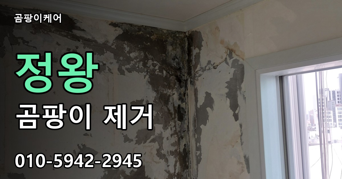 정왕 곰팡이 제거 - 곰팡이케어 실제 시공 현장