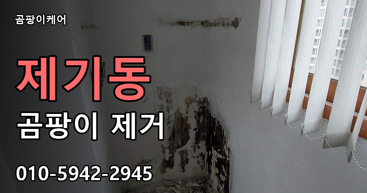 제기동 곰팡이 제거 - 곰팡이케어 실제 시공 현장