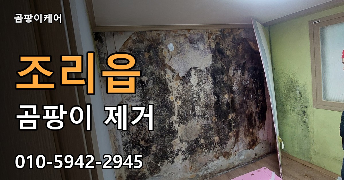 조리읍 곰팡이 제거 - 곰팡이케어 실제 시공 현장