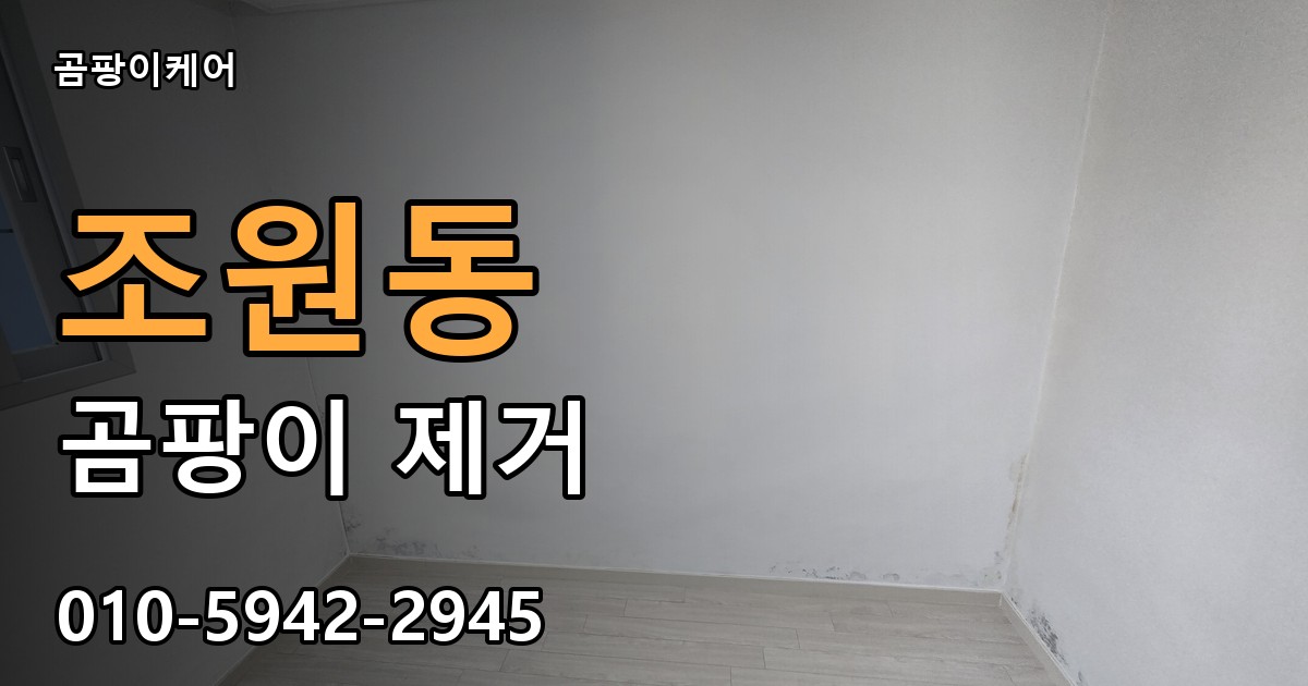 조원동 곰팡이 제거 - 곰팡이케어 실제 시공 현장