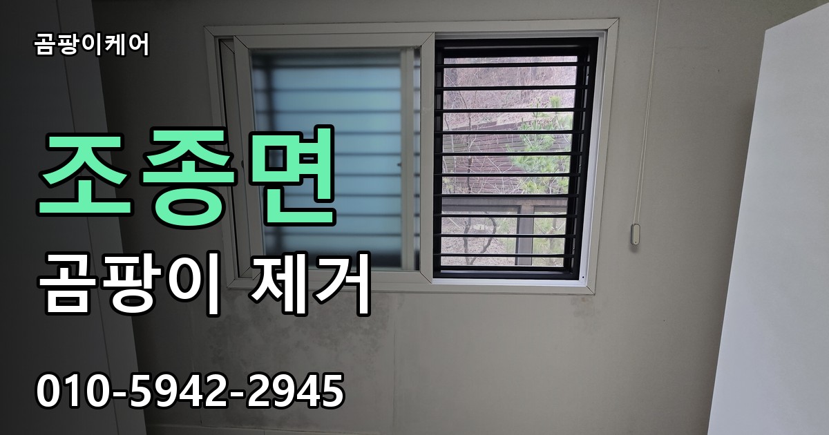 조종면 곰팡이 제거 - 곰팡이케어 실제 시공 현장